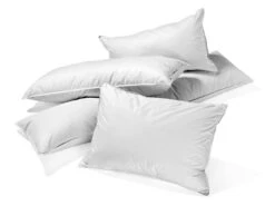 VidaXL Kissen 2 Stk. Daunen-/Federfüllung Leicht 80x80 Cm Weiß -VidaXL 013eb07a c92e 4019 807d b09018445aac