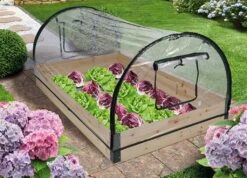 VIDAXL Frühbeet Mit 4 Deckeln -VidaXL 5d65152a 5f1d 4b22 8a7a 707b4ea32756