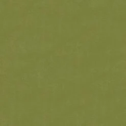 Esszimmerstühle 2 Stk. Drehbar Samt V1 | VidaXL : Farbe - Hellgrün -VidaXL 79b5c037 93c5 4f75 b64d f04bf1466da7